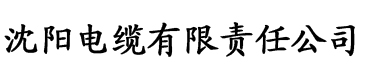 支教吃肉的长耳兔电缆厂logo